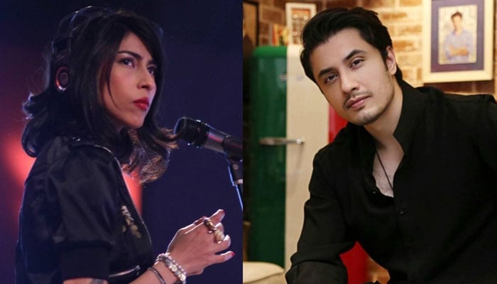 Hearing of defamation claim against Misha Shafi postponed File photo