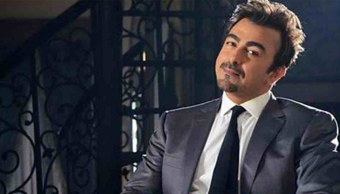 The Legend of Maula Jat noticed the lack of songs, Shaan Shahid File photo