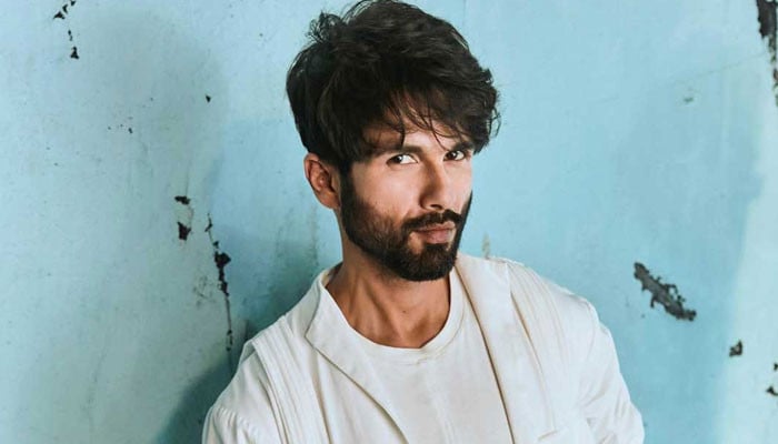 Why did Shahid Kapoor compare movies to 'fast food'?