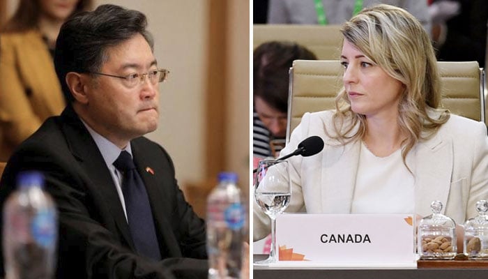 Interference in internal affairs will not be tolerated, Canadian foreign minister told Chinese counterpart Canadian and Chinese foreign ministers - file photo