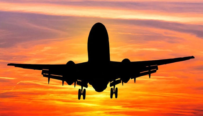 Iran's private airline flight makes emergency landing in Almaty File photo
