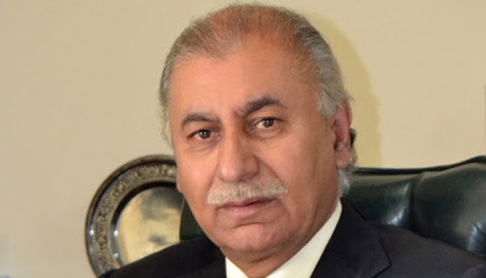 Children are being used in dollar smuggling, Senator PTI Senator Mohsin Aziz—file photo