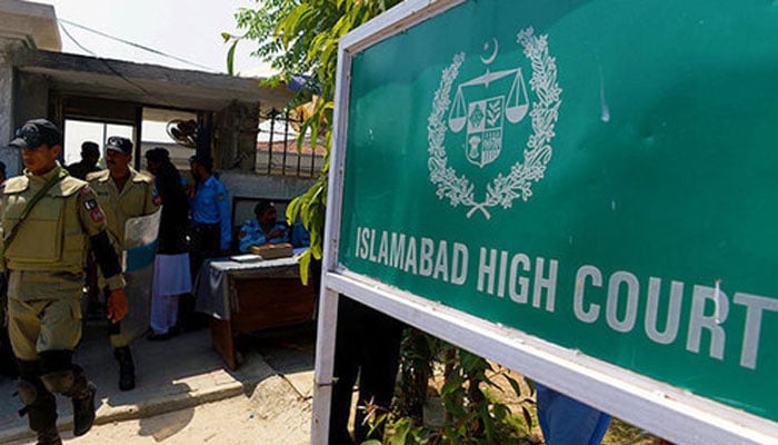 Alleged daughter case: Guardianship is written in the affidavit, there is no mention of being the father, Justice Mohsin