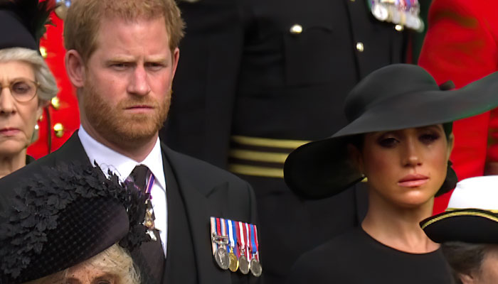 The media's cynicism has taken a toll on Meghan's mind, Prince Harry's File photo