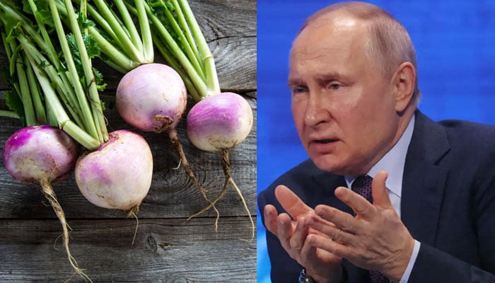 Putin advises Western countries to come to Russia to eat turnips File photo