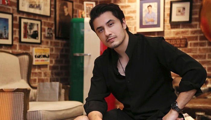 Ali Zafar—File photo
