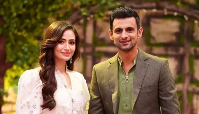 Shoaib Malik shared a picture with actress Sana Javed