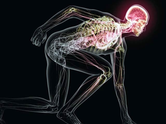 Nearly 100 studies and surveys of more than 100,000 people have shown that exercise reduces depression and anxiety.  Photo: File 