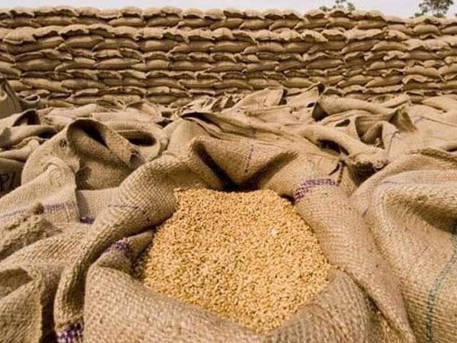 The Prime Minister approved the wheat support price of Rs 3900 in Punjab Ambiguity and tussle over determination of minimum purchase price for new production of wheat in Punjab has ended. File photo