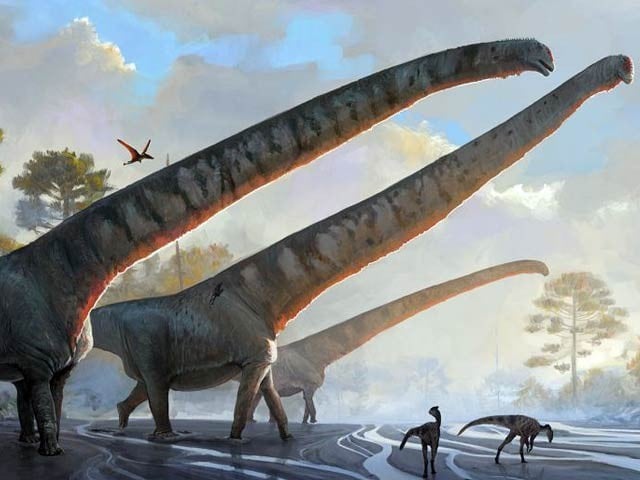 Just as long-necked dinosaur discovered Just as long-necked dinosaur discovered