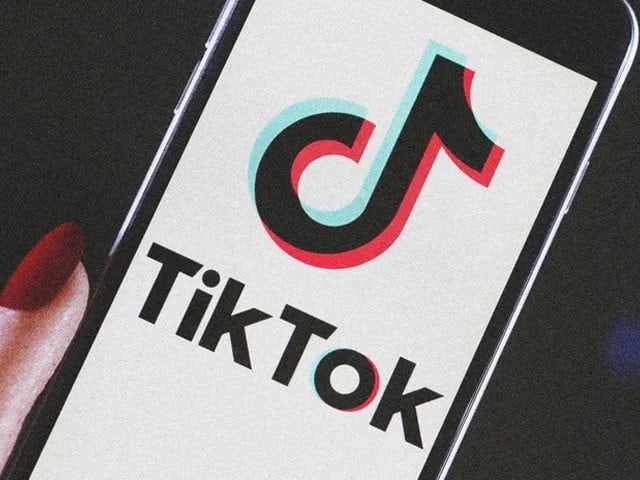 TikTok banned due to security concerns, New Zealand officials: Photo: File