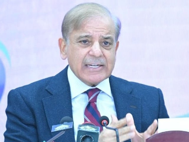 Prime Minister will sacrifice personal interest for the country a thousand times Shahbaz Sharif inaugurated 2 projects of 1650 MW electricity in Tharparkar