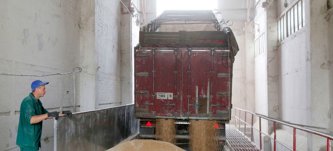 Wheat is processed at a granary in Chernihiv, Ukraine. (file) Wheat is processed at a granary in Chernihiv, Ukraine. (file)