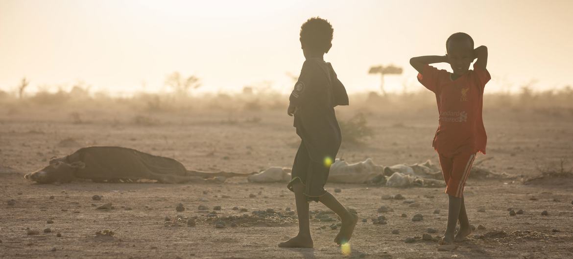 Three consecutive failed rainy seasons have brought on severe drought in the Somali region of Ethiopia. Three consecutive failed rainy seasons have brought on severe drought in the Somali region of Ethiopia.