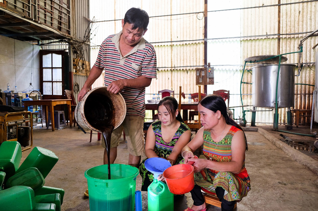 Forest products are processed into medicine in Viet Nam.