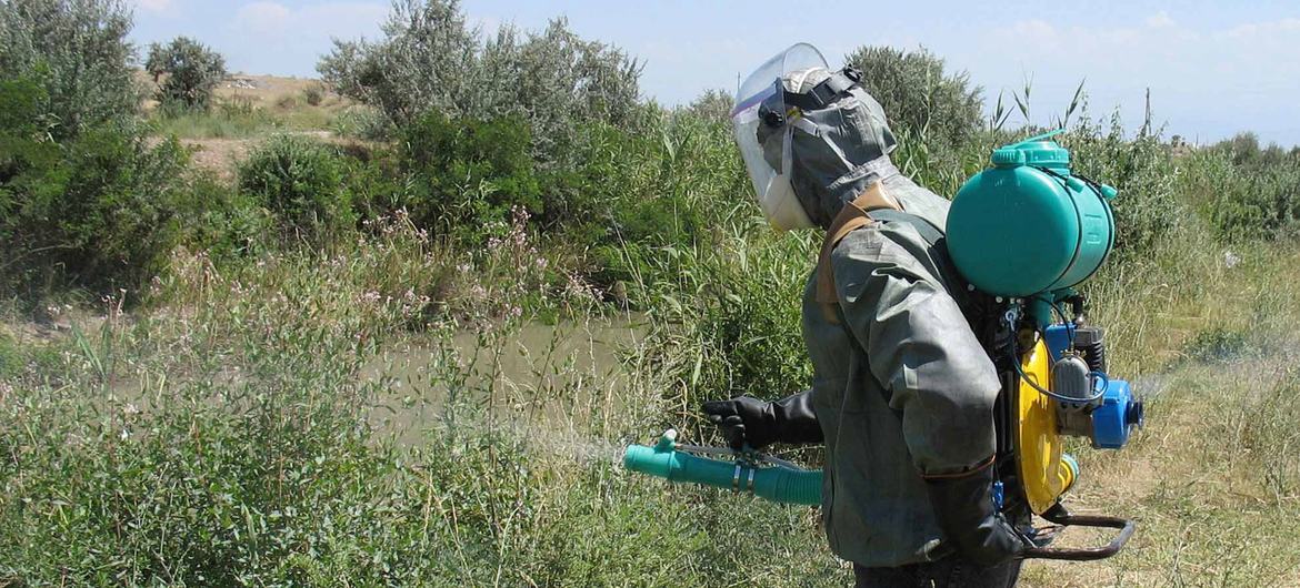 As the global malaria eradication process accelerates, more countries have launched their own initiatives of elimination. As the global malaria eradication process accelerates, more countries have launched their own initiatives of elimination.