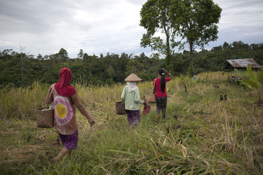 Women rangers are helping to stamp out wildlife crime in Indonesia by working with local communities.