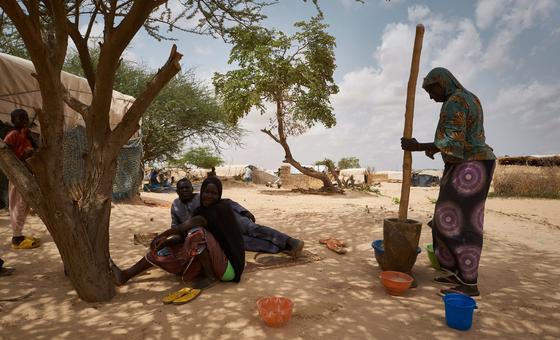 Niger joins crucial UN transboundary water-sharing accord