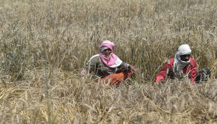 Approval to supply domestic gas to urea fertilizer factories