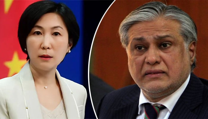 Chinese Foreign Office statement, Ishaq Dar's reaction