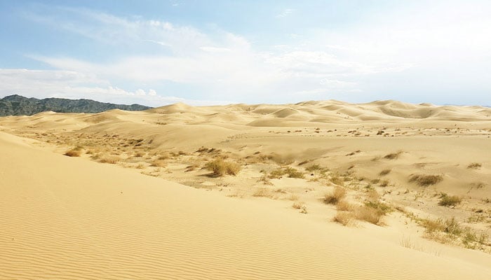 "Desert" winds rule and water is scarce