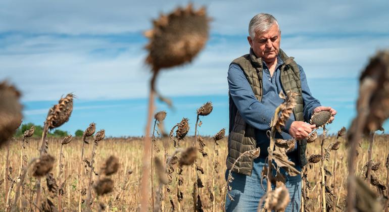 First Person: Vulnerable Ukrainian farmers plough a self-sufficient furrow