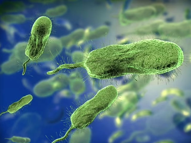 Flesh-eating bacterial infections to double in next 20 years