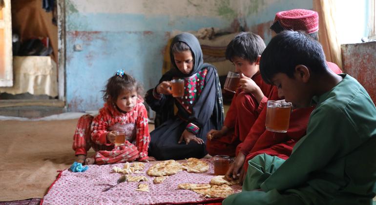 Funding drought forces UN food agency to cut rations in Afghanistan