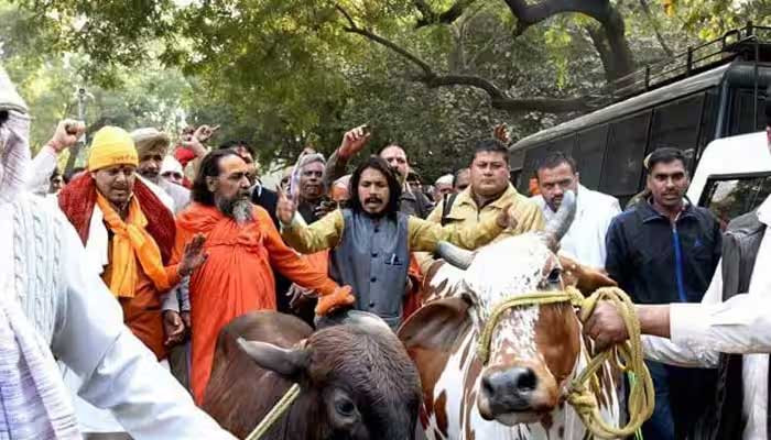 In India, life and property of Muslims are threatened in the name of gau rakshak