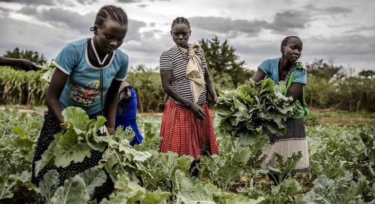 LDC5: UN conference weighs building resilient agrifood systems in the face of risk and uncertainty