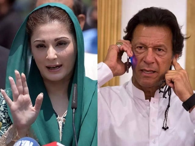 Maryam Nawaz likened Imran Khan to a vulture