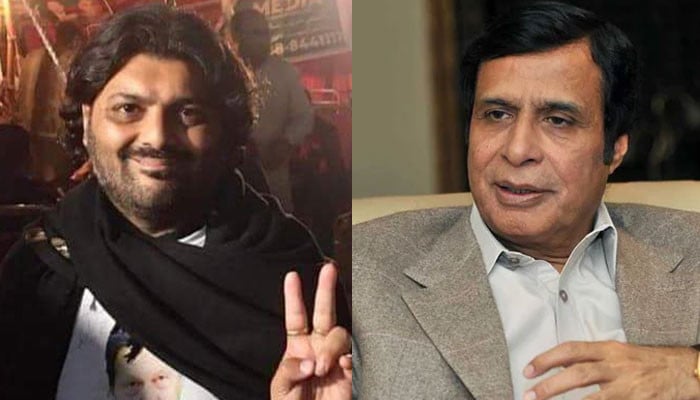 Pervez Elahi's demand for judicial inquiry into Ali Bilal's death