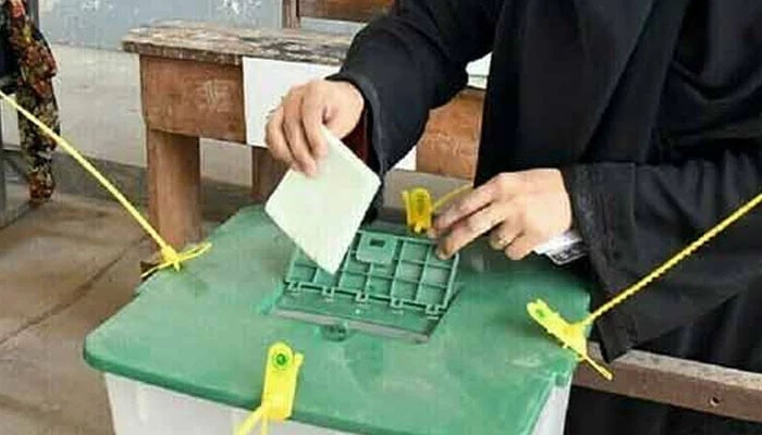 Repolling of local body elections, PP won