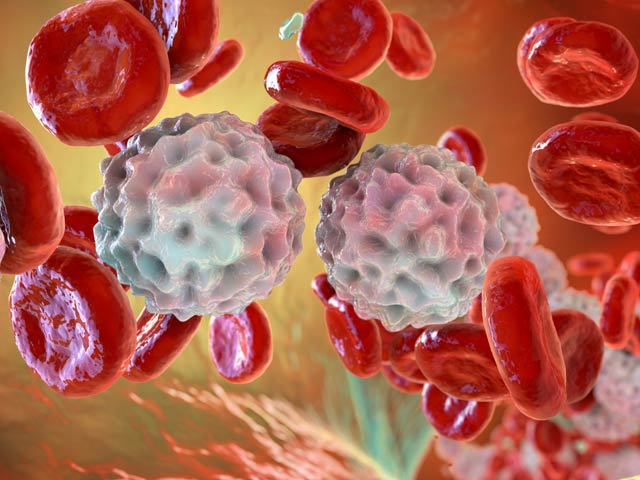 The third patient of leukemia was declared completely cured by the experimental drug