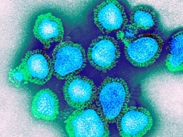 Two deaths due to H3N2 influenza virus in India