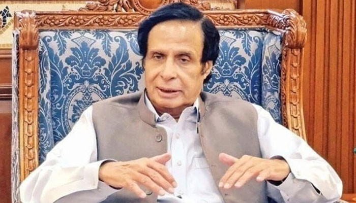 What does Maryam Nawaz want to achieve by criticizing the judiciary?  Parvez Elahi