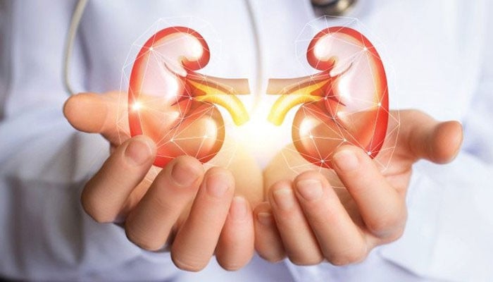 Why do kidneys fail?