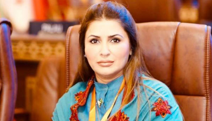 Government has increased Benazir sponsorship allowance from 7000 to 8500 rupees, Shazia Murri. Shazia Murry. File photo