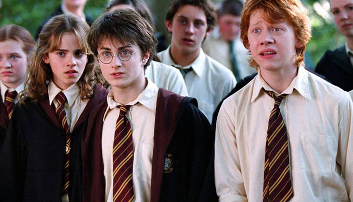 Why did the Indian filmmaker decide to make the Indian version of the 'Harry Potter series'?