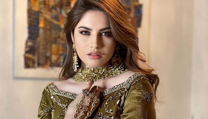 Neelam Munir's blunt answer to the journalist, fed up with marriage questions