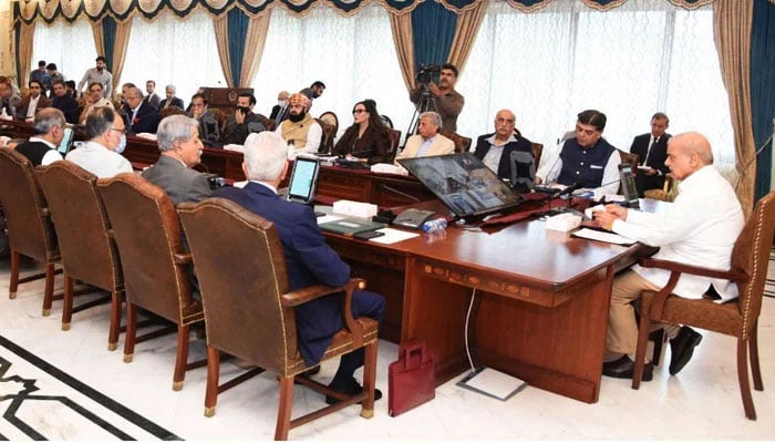 The federal cabinet rejected the decision of the Supreme Court regarding the election File photo