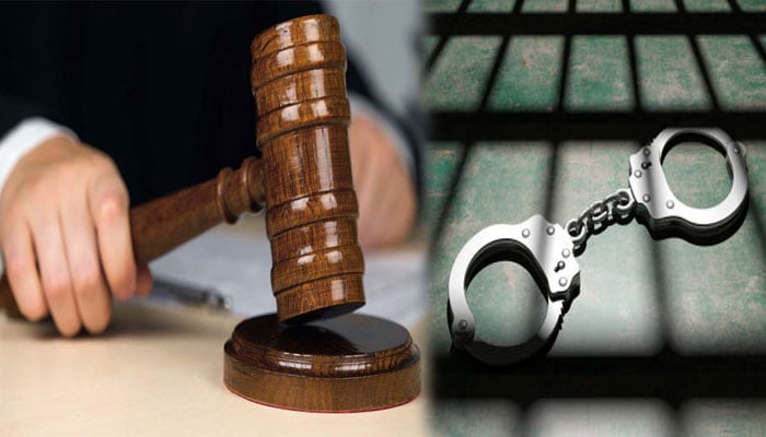 Alleged murder of female veterinary doctor, order to release arrested accused Bisma —File photo