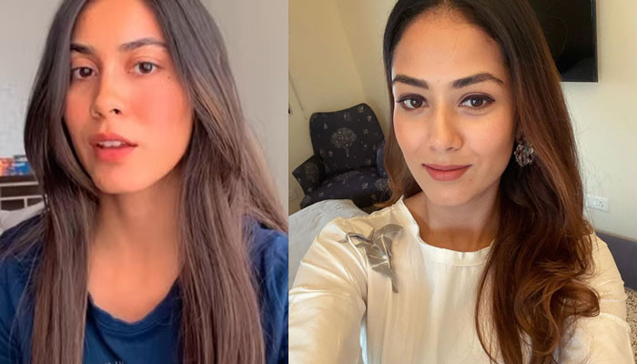 Shahid Kapoor's wife Mira Rajput's lookalike has set the internet abuzz