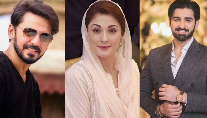 Muneeb Butt and Bilal Qureshi condemned the woman's bad behavior towards Maryam Nawaz