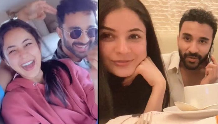 Shahnaz Gill found a new love? Collage courtesy of Social Media
