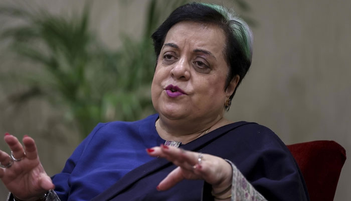 Our incompetent government is still afraid of America, Shireen Mazari Shireen Mazari, file photo
