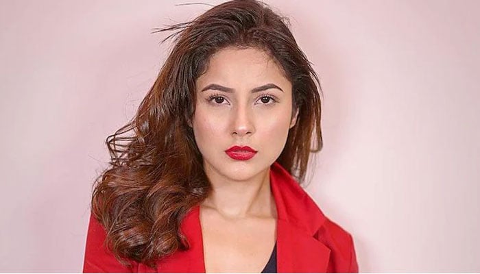 I was cheap in Bigg Boss but now I am expensive, Shahnaz Gul I was cheap in Bigg Boss but now I am expensive, Shahnaz Gul