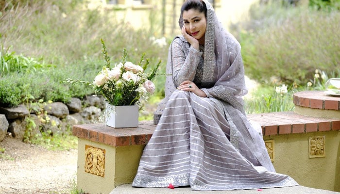 Who is the husband of singer and actress Komal Rizvi? Photos, Instagram