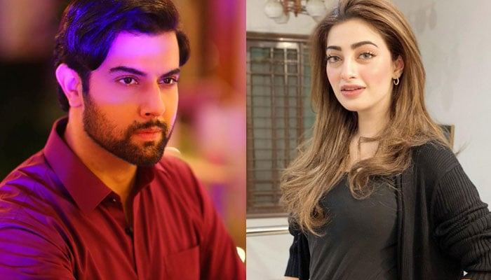 Nawal Saeed's love for Noor Hassan Collage courtesy of Social Media
