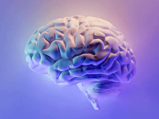 Uncovering the link between high blood pressure and dementia A clear link between high blood pressure and dementia has been revealed for the first time. Photo: File